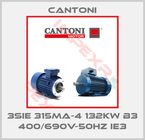Cantoni-3SIE 315MA-4 132kW B3 400/690V-50Hz IE3
