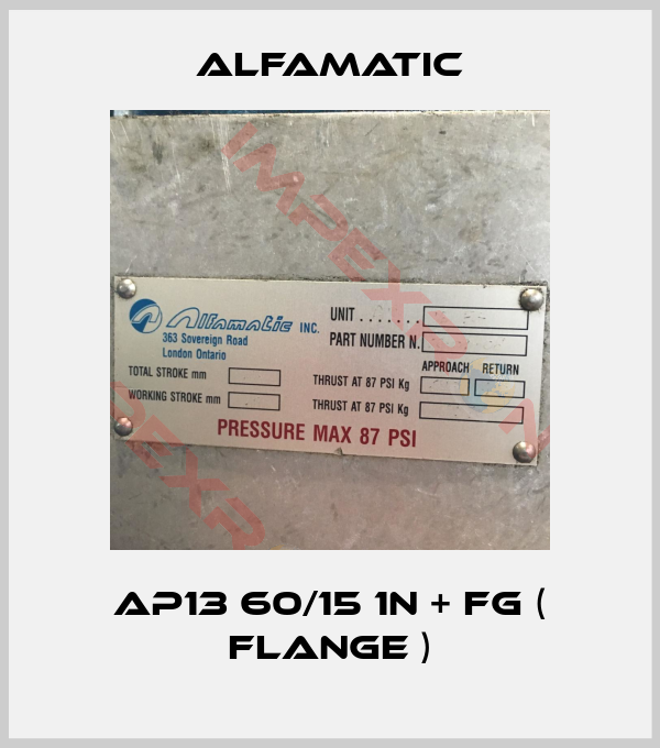 Alfamatic-AP13 60/15 1N + FG ( Flange )