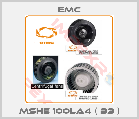 Emc-MSHE 100LA4 ( B3 )