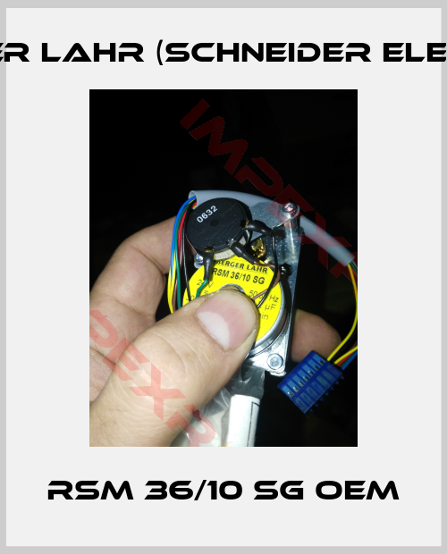 Berger Lahr (Schneider Electric)-RSM 36/10 SG OEM