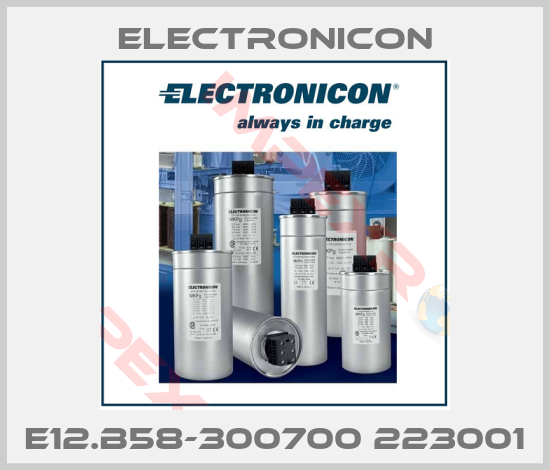 Electronicon-E12.B58-300700 223001