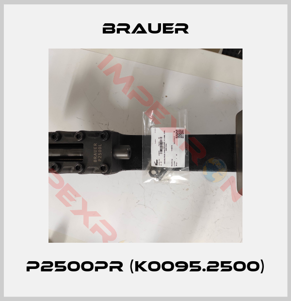 Brauer-P2500PR (K0095.2500)