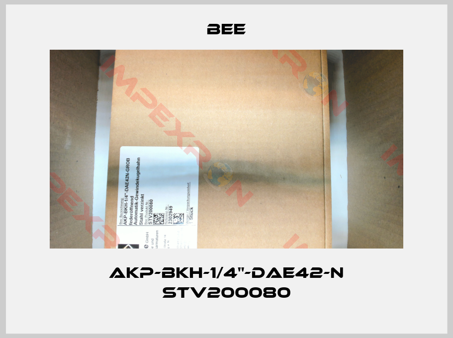 BEE-AKP-BKH-1/4"-DAE42-N STV200080