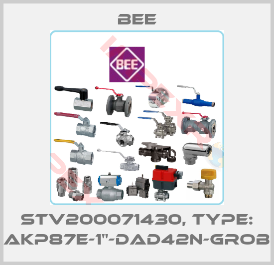 BEE-STV200071430, Type: AKP87E-1"-DAD42N-GROB