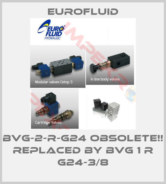 Eurofluid-BVG-2-R-G24 Obsolete!! Replaced by BVG 1 R G24-3/8