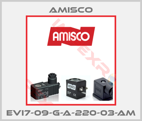 Amisco-EVI7-09-G-A-220-03-AM