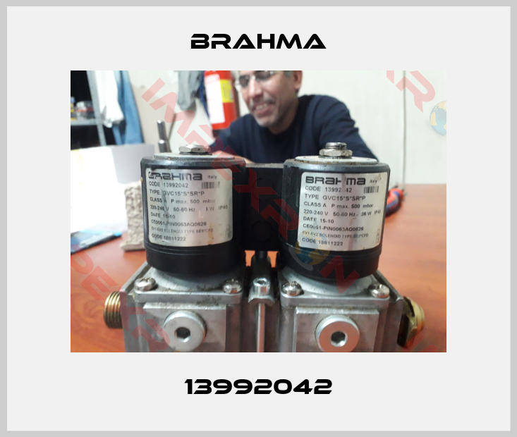 Brahma-13992042