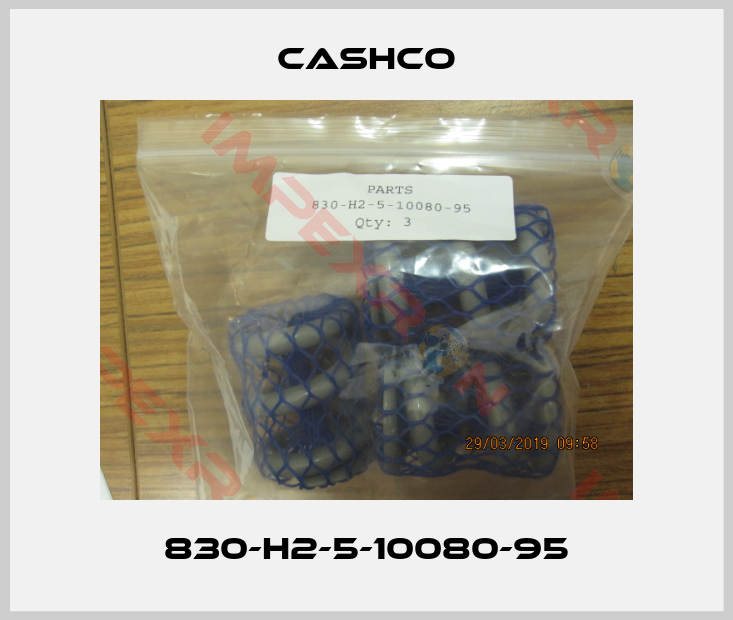 Cashco-830-H2-5-10080-95