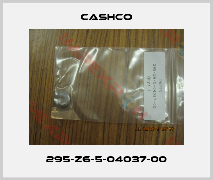 Cashco-295-Z6-5-04037-00