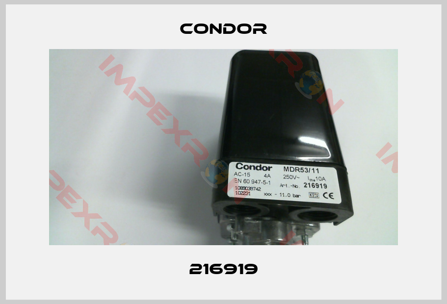 Condor-216919