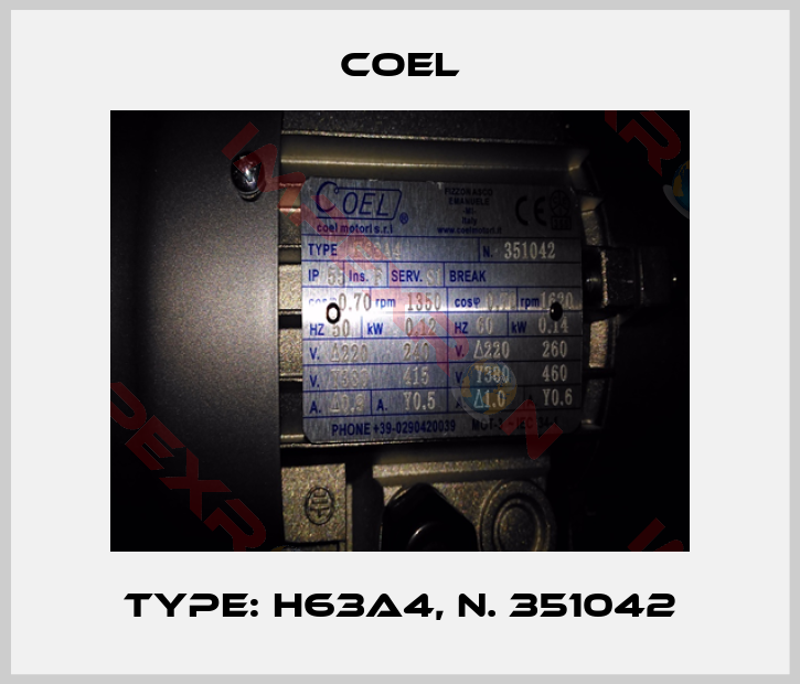 Coel-Type: H63A4, N. 351042