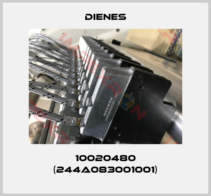 Dienes-10020480 (244A083001001)