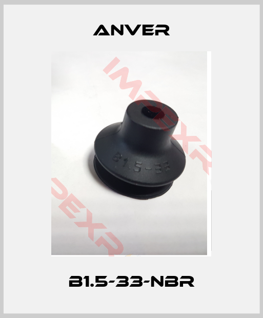 Anver-B1.5-33-NBR