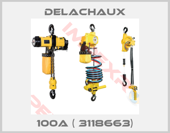 Delachaux-100A ( 3118663)