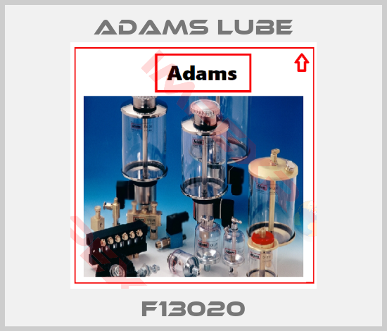 Adams Lube-F13020