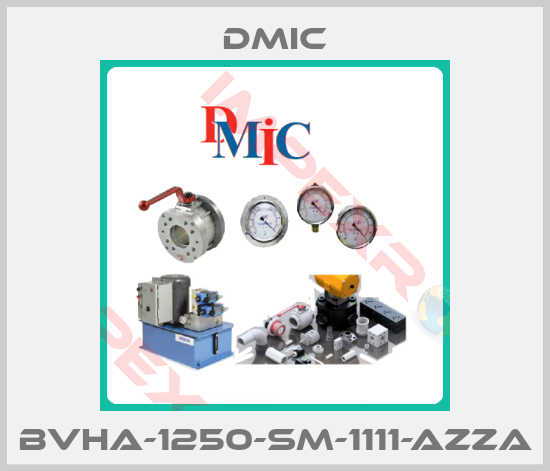 DMIC-BVHA-1250-SM-1111-AZZA