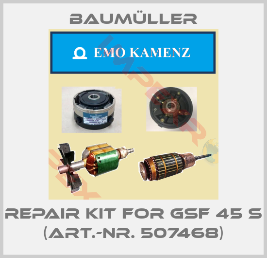 Baumüller-Repair kit for GSF 45 S (Art.-Nr. 507468)