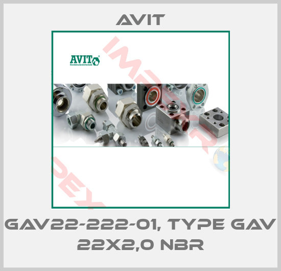 Avit-GAV22-222-01, type GAV 22x2,0 NBR
