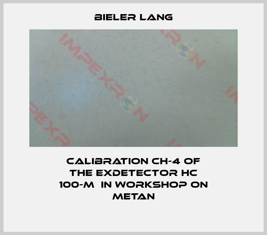 Bieler Lang-Calibration CH-4 of the ExDetector HC 100-M  in workshop on metan