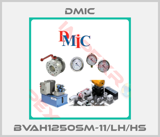 DMIC-BVAH1250SM-11/LH/HS