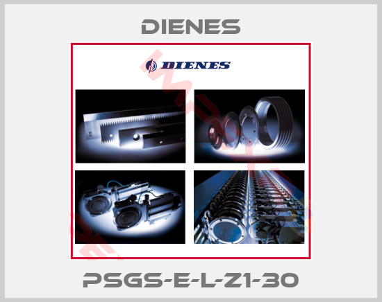 Dienes-PSGS-E-L-Z1-30