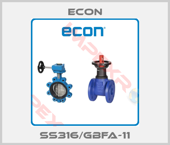 Econ-SS316/GBFA-11