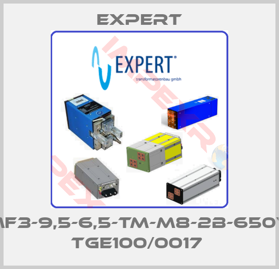 Expert-MF3-9,5-6,5-TM-M8-2B-650V TGE100/0017 