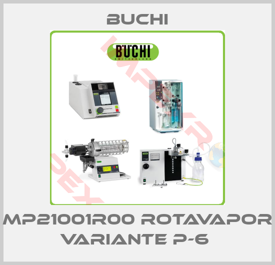 Buchi-MP21001R00 ROTAVAPOR VARIANTE P-6 