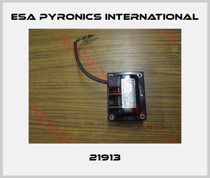 ESA Pyronics International-21913