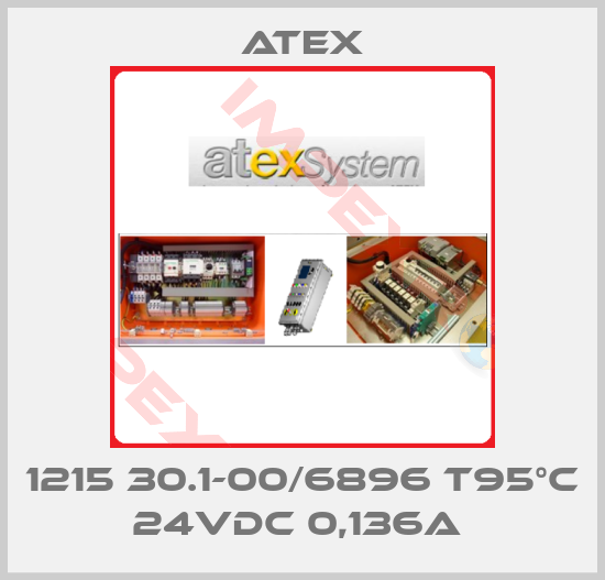 Atex-1215 30.1-00/6896 T95°C 24VDC 0,136A 