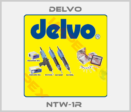 Delvo-NTW-1R 