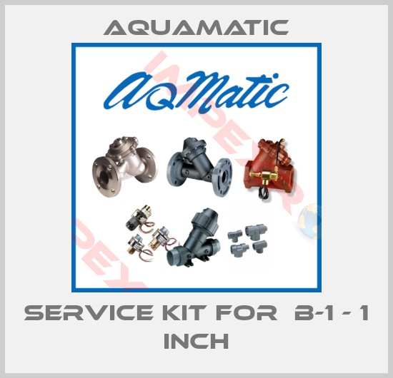 AquaMatic-service kit for  B-1 - 1 inch