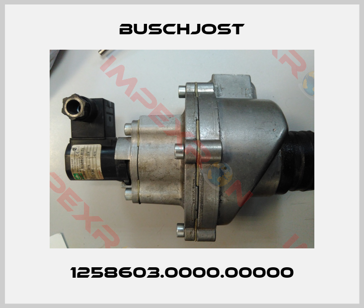 Buschjost-1258603.0000.00000