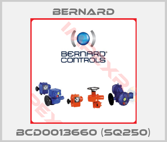 Bernard-BCD0013660 (SQ250)