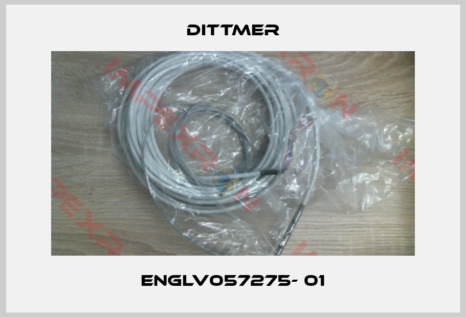 Dittmer-engLV057275- 01