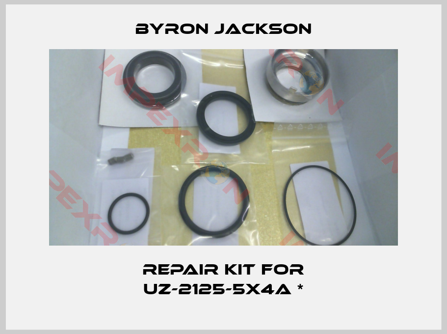 Byron Jackson-Repair kit for UZ-2125-5X4A *