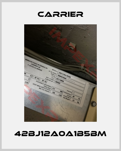 Carrier-42BJ12A0A1B5BM