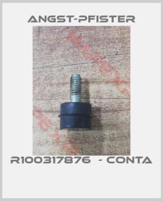 Angst-Pfister-R100317876  - CONTA