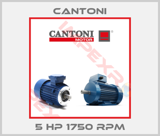 Cantoni-5 HP 1750 RPM