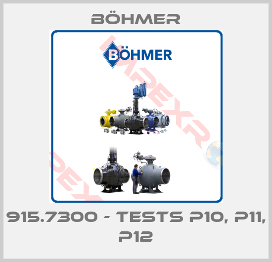 Böhmer-915.7300 - TESTS P10, P11, P12