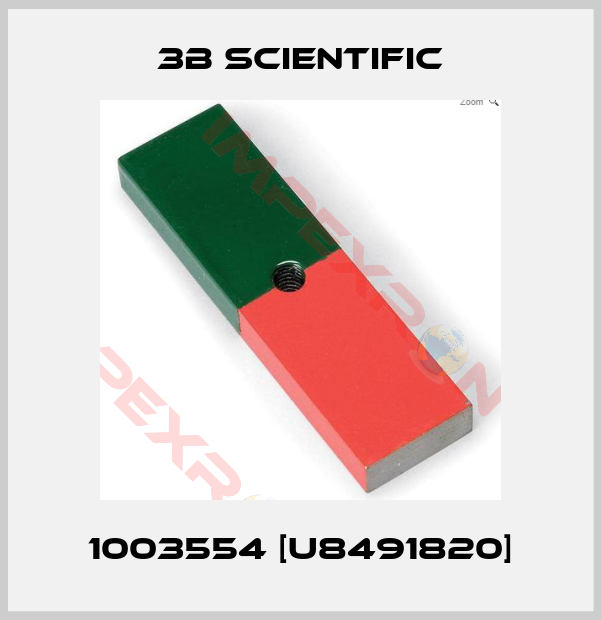 3B Scientific-1003554 [U8491820]