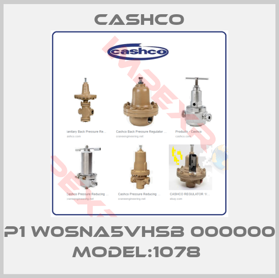 Cashco-P1 W0SNA5VHSB 000000 MODEL:1078 