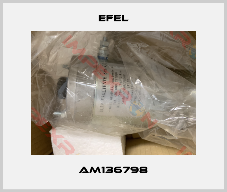 Efel-AM136798