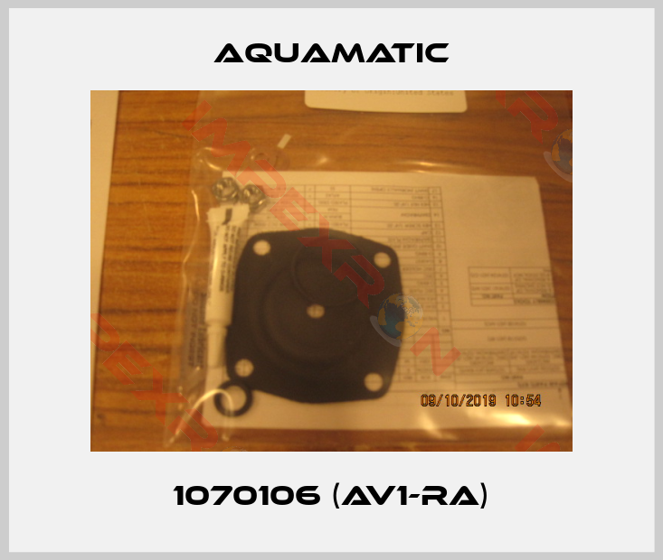 AquaMatic-1070106 (AV1-RA)