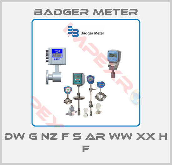 Badger Meter-DW G NZ F S AR WW XX H F