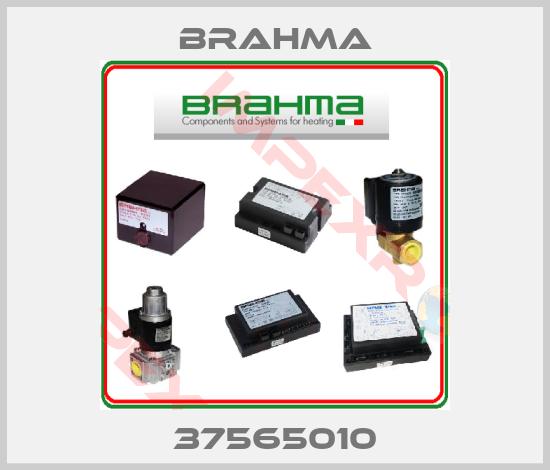 Brahma-37565010