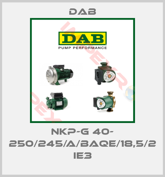 DAB-NKP-G 40- 250/245/A/BAQE/18,5/2 IE3