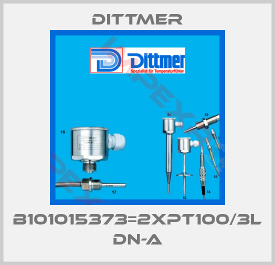 Dittmer-b101015373=2xPt100/3L DN-A