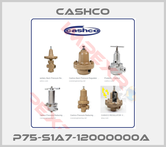 Cashco-P75-S1A7-12000000A 