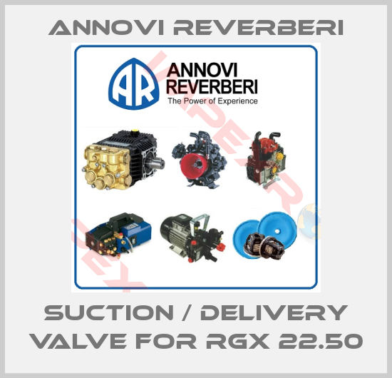 Annovi Reverberi-Suction / Delivery valve for RGX 22.50